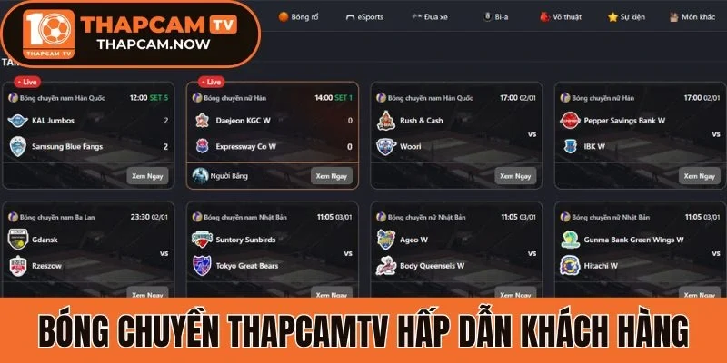 Bóng chuyền Thapcamtv hấp dẫn khách hàng