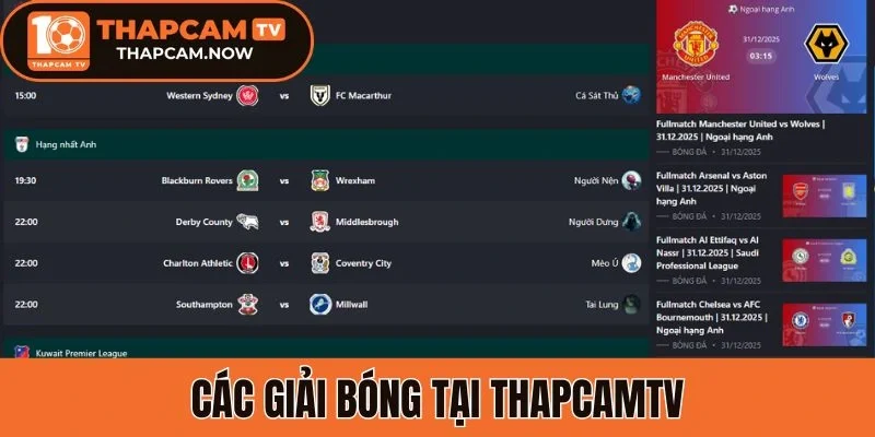 Các giải bóng tại Thapcamtv