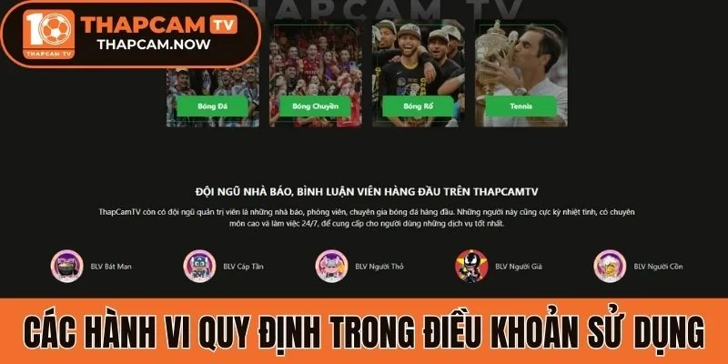 Các hành vi quy định trong điều khoản sử dụng