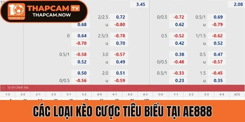 Các loại kèo cược tiêu biểu tại Ae888