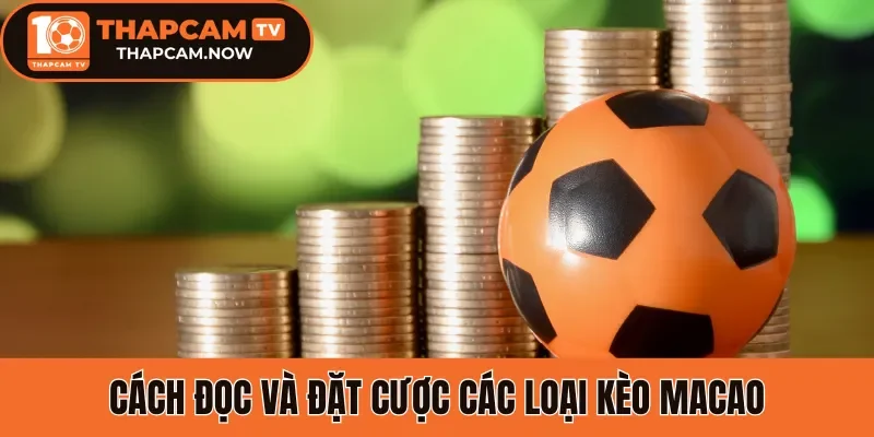 Chuyển đến nội dung chínhChuyển đến thanh công cụ
thapcam.now
Flatsome
00 bình luận cần kiểm duyệt
Tạo mới
Rank Math SEO
Xin chào, seo
Tùy chọn màn hìnhHỗ trợ
Thêm Bài Viết
Thông báo SEO: post đã xuất bản trước đó đã được chuyển vào thùng rác. Bạn có thể chuyển hướng https://thapcam.now/soi-keo-brighton-vs-brentford/ đến một URL mới.Bỏ qua thông báo này
EditorUX Builder
Thêm tiêu đề
Tỷ lệ kèo Macao - Cách đọc kèo chuẩn, tăng tỷ lệ cược thắng
Bỏ qua để biên tập
Đường dẫn tĩnh: https://thapcam.now/ty-le-keo-macao/ ‎Chỉnh sửa
Thêm MediaTrực quanMã
Định dạng ĐoạnTOCShortcodes
11ptp » i » span
Số từ: 986	Bản nháp được lưu lúc 13:09:23.
Di chuyển lênDi chuyển xuốngChuyển đổi bảng điều khiển: Xuất bản
Xem trước(mở trong cửa sổ mới)
Trạng thái: Bản nháp Chỉnh sửaChỉnh sửa trạng thái
Hiển thị: Công khai Chỉnh sửaChỉnh sửa độ rõ nét
Xuất bản ngay lập tức Chỉnh sửaChỉnh sửa ngày tháng và thời gianLock Modified Date
SEO: 81 / 100
Bỏ vào thùng rác
Di chuyển lênDi chuyển xuốngChuyển đổi bảng điều khiển: Ảnh đại diện
Đặt ảnh đại diệnDi chuyển lênDi chuyển xuốngChuyển đổi bảng điều khiển: Danh mục
Tất cả danh mục Dùng nhiều nhất
Cẩm Nang
Soi Kèo
Tin Tức
Top Nhà Cái
+ Thêm Danh Mục
Di chuyển lênDi chuyển xuốngChuyển đổi bảng điều khiển: Content AI
Di chuyển lênDi chuyển xuốngChuyển đổi bảng điều khiển: Định dạng
Di chuyển lênDi chuyển xuốngChuyển đổi bảng điều khiển: Thẻ
Di chuyển lênDi chuyển xuốngChuyển đổi bảng điều khiển: LiteSpeed
Di chuyển lênDi chuyển xuốngChuyển đổi bảng điều khiển: Đề xuất Liên kết
Di chuyển lênDi chuyển xuốngChuyển đổi bảng điều khiển: Rank Math SEO
Tổng quan
Nâng cao
Schema
Mạng xã hội
https://thapcam.now/ty-le-keo-macao/
Tỷ Lệ Kèo Macao - Cách đọc Kèo Chuẩn, Tăng Tỷ Lệ Cược...
Kèo Macao thuộc loại kèo cược chấp châu Á giúp cân bằng trình độ giữa hai đội bóng thể thao. Cách đọc tỷ lệ kèo Macao đơn giản dễ thắng lớn.
Chỉnh sửa đoạn trích
Từ khóa chínhChèn các từ khóa bạn muốn xếp hạng. Cố gắng đạt 100/100 điểm để có cơ hội xếp hạng tốt hơn.81 / 100
Lưu ý cảnh báo
Đọc ở đây để Đạt điểm 100/100Bài viết này là nội dung cốt lõiSEO cơ bản
Tất cả đều tốt
Tuyệt vời! Bạn đang sử dụng từ khoá chính trong Tiêu đề SEO.
Đã sử dụng từ khoá chính trong Mô tả Meta SEO.
Từ khóa chính đã được sử dụng trong URL.
Từ khoá chính xuất hiện trong 10% nội dung đầu tiên.
Đã tìm thấy từ khoá chính trong nội dung.
Nội dung dài 998 từ. Làm tốt lắm!Bổ sung
3 LỗiKhả năng đọc tiêu đề
1 LỗiKhả năng đọc nội dung
Tất cả đều tốt
Di chuyển lênDi chuyển xuốngChuyển đổi bảng điều khiển: Disable WpDevArt Facebook comment on this page/post
Di chuyển lênDi chuyển xuốngChuyển đổi bảng điều khiển: Table of ContentsCảm ơn bạn đã sử dụng Rank MathPhiên bản 6.8.2
Thông báoLink inserted.
Đóng hộp thoại
Thêm tệp media
Hành động
Tải lên tệp mớiChọn từ thư viện Media
Mở rộng chi tiết
Lọc mediaLọc theo loại
Tất cả
Lọc theo ngày
Tất cả các ngày
Tìm tệp media
Danh sách media
Đang hiển thị 84 của 608 file mediaTải thêm
Chi tiết tệp đính kèmcach-doc-va-dat-cuoc-cac-loai-keo-macao.webp
22 Tháng 1, 2026
35 KB
800 dài và rộng 400 pixel
Sửa ảnh
Xóa vĩnh viễn
Văn bản thay thế
Tạo văn bản thay thế
Xem cách mô tả nội dung ảnh(mở trong cửa sổ mới). Để trống nếu ảnh chỉ dùng làm hiệu ứng trang trí.Tiêu đề
cach-doc-va-dat-cuoc-cac-loai-keo-macao
Chú thích
Mô tả
Liên kết của tệp tin:
https://thapcam.now/wp-content/uploads/2026/01/cach-doc-va-dat-cuoc-cac-loai-keo-macao.webp
Sao chép liên kết
Các trường bắt buộc được đánh dấu *Loại trừ tệp đính kèm này khỏi sơ đồ trang web
Tùy chọn hiển thị nội dung đính kèm
Căn chỉnh
Chính giữa
Liên kết tới
Không có
Kích thước
Kích thước đầy đủ – 800 × 400
Hành động cho các media đã được chọn
đã chọn 1 item
Xóa
Chèn vào bài viết
Không có tệp nào được chọn