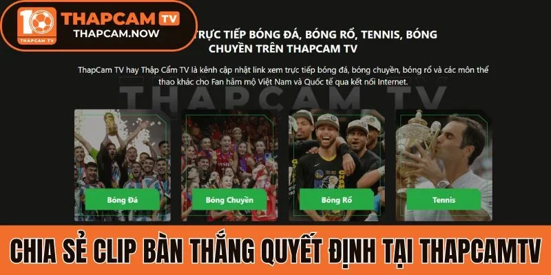 Chia sẻ clip bàn thắng quyết định tại Thapcamtv