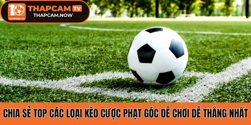 Chia sẻ top các loại kèo cược phạt góc dễ chơi dễ thắng nhất