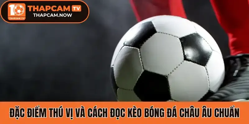 Đặc điểm thú vị và cách đọc kèo bóng đá châu Âu chuẩn