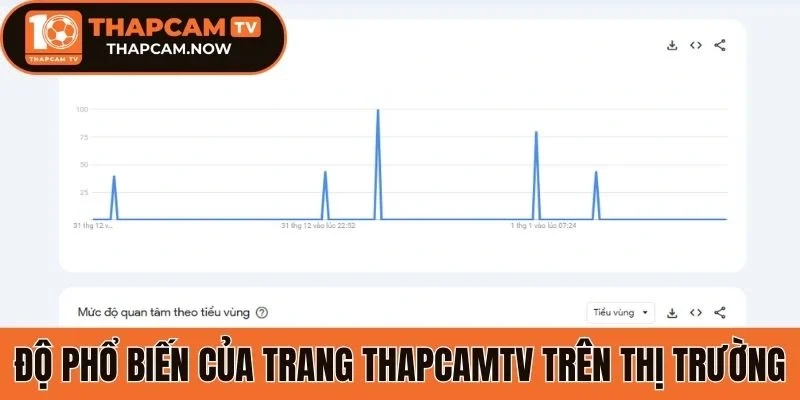 Độ phổ biến của trang Thapcamtv trên thị trường