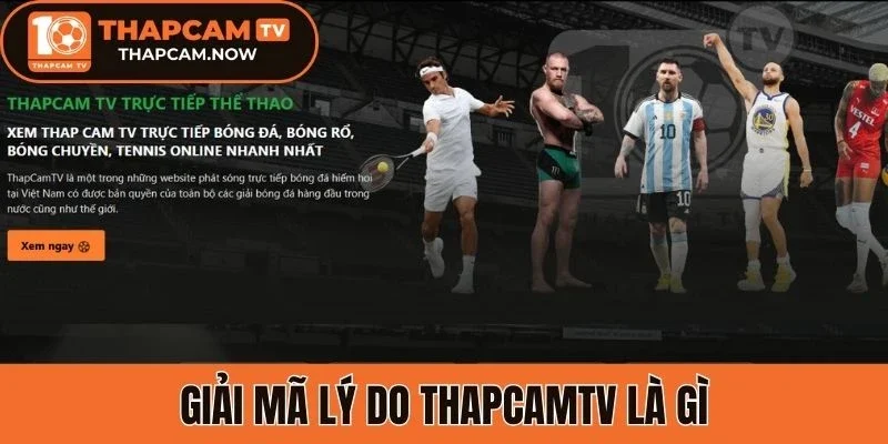 Giải mã lý do Thapcamtv là gì