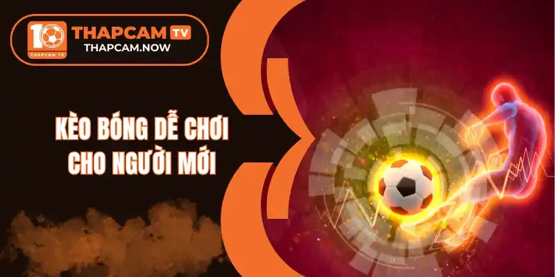 Hướng dẫn đọc các loại kèo cho người mới chơi