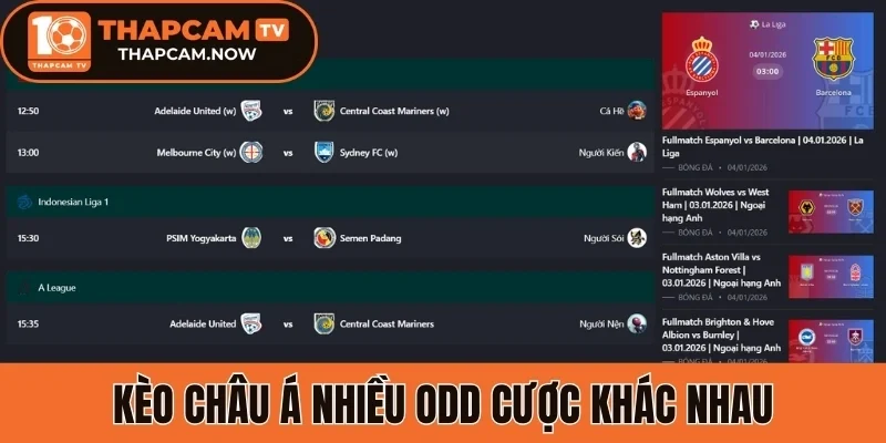 Kèo châu Á nhiều odd cược khác nhau