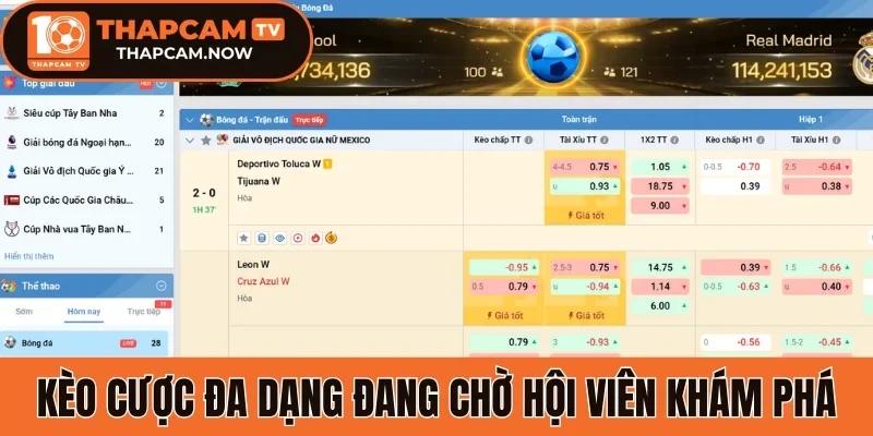 Kèo cược đa dạng đang chờ hội viên khám phá