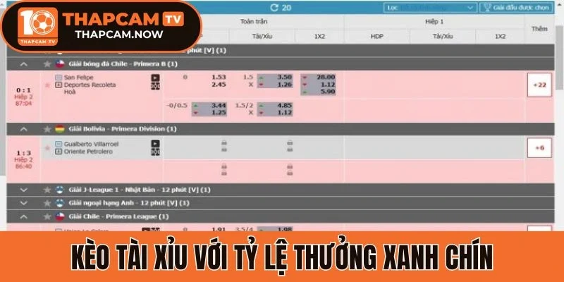 Kèo Tài Xỉu với tỷ lệ thưởng xanh chín