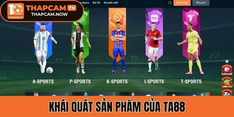 Khái quát sản phẩm của Ta88