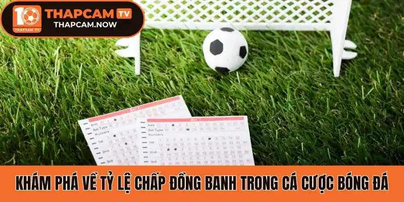 Khám phá về tỷ lệ chấp đồng banh trong cá cược bóng đá