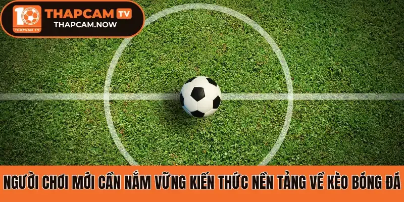 Người chơi mới cần nắm vững kiến thức nền tảng về kèo bóng đá 