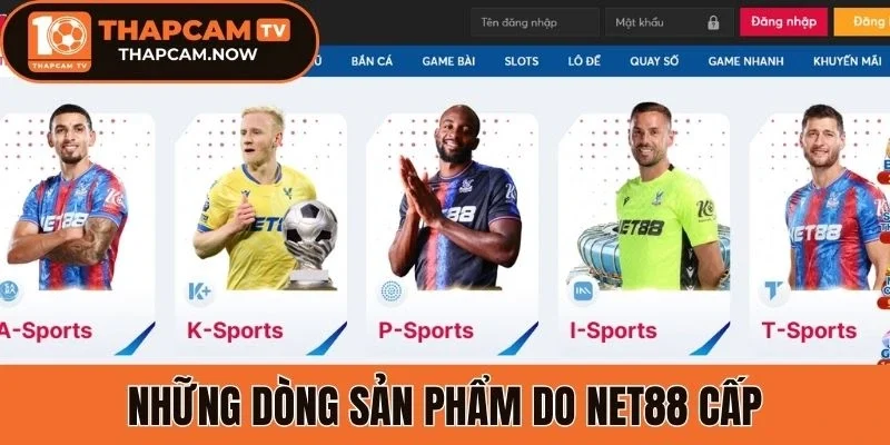 Những dòng sản phẩm do Net88 cấp
