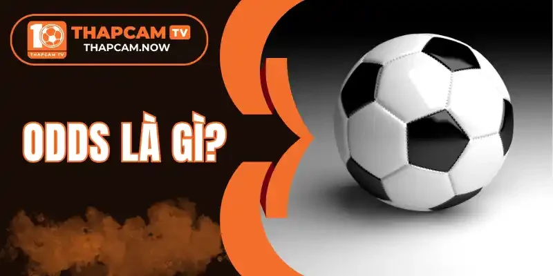 Chuyển đến nội dung chínhChuyển đến thanh công cụ thapcam.now Flatsome 00 bình luận cần kiểm duyệt Tạo mới Rank Math SEO Xin chào, seo Tùy chọn màn hìnhHỗ trợ Thêm Bài Viết Thông báo SEO: post đã xuất bản trước đó đã được chuyển vào thùng rác. Bạn có thể chuyển hướng https://thapcam.now/soi-keo-brighton-vs-brentford/ đến một URL mới. Bỏ qua thông báo này EditorUX Builder Thêm tiêu đề Odds là gì? Top các tỷ lệ Odd cơ bản trong bóng đá Bỏ qua để biên tập Đường dẫn tĩnh: https://thapcam.now/odds-la-gi/ ‎Chỉnh sửa Thêm MediaTrực quanMã Định dạng ĐoạnTOCShortcodes 11pt p Số từ: 1147 Bản nháp được lưu lúc 13:14:05. Di chuyển lênDi chuyển xuốngChuyển đổi bảng điều khiển: Xuất bản Xem trước(mở trong cửa sổ mới) Trạng thái: Bản nháp Chỉnh sửaChỉnh sửa trạng thái Hiển thị: Công khai Chỉnh sửaChỉnh sửa độ rõ nét Xuất bản ngay lập tức Chỉnh sửaChỉnh sửa ngày tháng và thời gian Lock Modified Date SEO: 84 / 100 Bỏ vào thùng rác Di chuyển lênDi chuyển xuốngChuyển đổi bảng điều khiển: Ảnh đại diện Đặt ảnh đại diện Di chuyển lênDi chuyển xuốngChuyển đổi bảng điều khiển: Danh mục Tất cả danh mục Dùng nhiều nhất Cẩm NangMake Term Primary Soi Kèo Tin Tức Top Nhà Cái + Thêm Danh Mục Di chuyển lênDi chuyển xuốngChuyển đổi bảng điều khiển: Content AI Di chuyển lênDi chuyển xuốngChuyển đổi bảng điều khiển: Định dạng Di chuyển lênDi chuyển xuốngChuyển đổi bảng điều khiển: Thẻ Di chuyển lênDi chuyển xuốngChuyển đổi bảng điều khiển: LiteSpeed Di chuyển lênDi chuyển xuốngChuyển đổi bảng điều khiển: Đề xuất Liên kết Di chuyển lênDi chuyển xuốngChuyển đổi bảng điều khiển: Rank Math SEO Tổng quan Nâng cao Schema Mạng xã hội https://thapcam.now/odds-la-gi/ Odds Là Gì? Top Các Tỷ Lệ Odd Cơ Bản Trong Bóng đá -... Odds là thuật ngữ thường gặp nhất khi tham gia cá cược bóng đá. Tỷ lệ Odds là gì và cách phân biệt các loại tỷ lệ Odds phổ biến hiện nay. Chỉnh sửa đoạn trích Từ khóa chínhChèn các từ khóa bạn muốn xếp hạng. Cố gắng đạt 100/100 điểm để có cơ hội xếp hạng tốt hơn. 84 / 100 Lưu ý cảnh báo Đọc ở đây để Đạt điểm 100/100 Bài viết này là nội dung cốt lõi SEO cơ bản Tất cả đều tốt Tuyệt vời! Bạn đang sử dụng từ khoá chính trong Tiêu đề SEO. Đã sử dụng từ khoá chính trong Mô tả Meta SEO. Từ khóa chính đã được sử dụng trong URL. Từ khoá chính xuất hiện trong 10% nội dung đầu tiên. Đã tìm thấy từ khoá chính trong nội dung. Nội dung dài 1151 từ. Làm tốt lắm! Bổ sung 2 Lỗi Khả năng đọc tiêu đề 1 Lỗi Khả năng đọc nội dung Tất cả đều tốt Di chuyển lênDi chuyển xuốngChuyển đổi bảng điều khiển: Disable WpDevArt Facebook comment on this page/post Di chuyển lênDi chuyển xuốngChuyển đổi bảng điều khiển: Table of Contents Cảm ơn bạn đã sử dụng Rank MathPhiên bản 6.8.2 Thông báoLink inserted. Đóng hộp thoại Ảnh đại diện Tải lên tệp mớiChọn từ thư viện Media Mở rộng chi tiết Lọc mediaLọc theo loại Hình ảnh Lọc theo ngày Tất cả các ngày Tìm tệp media Danh sách media Đang hiển thị 4 của 4 file media Tải thêm Chi tiết tệp đính kèm odds-la-gi-thumb.webp 22 Tháng 1, 2026 19 KB 800 dài và rộng 400 pixel Sửa ảnh Xóa vĩnh viễn Văn bản thay thế Tạo văn bản thay thế Xem cách mô tả nội dung ảnh(mở trong cửa sổ mới). Để trống nếu ảnh chỉ dùng làm hiệu ứng trang trí.Tiêu đề odds-la-gi-thumb Chú thích Mô tả Liên kết của tệp tin: https://thapcam.now/wp-content/uploads/2026/01/odds-la-gi-thumb.webp Sao chép liên kết Các trường bắt buộc được đánh dấu * Loại trừ tệp đính kèm này khỏi sơ đồ trang web Hành động cho các media đã được chọnĐặt ảnh đại diện Không có tệp nào được chọn