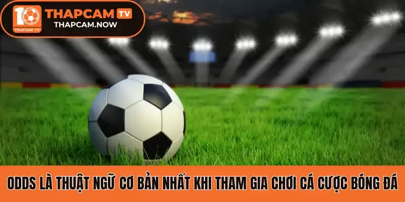 Odds là thuật ngữ cơ bản nhất khi tham gia chơi cá cược bóng đá
