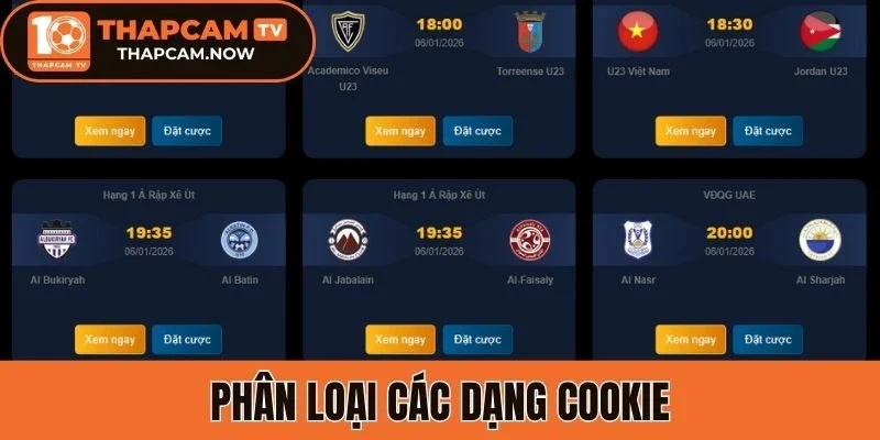 Phân loại các dạng Cookie