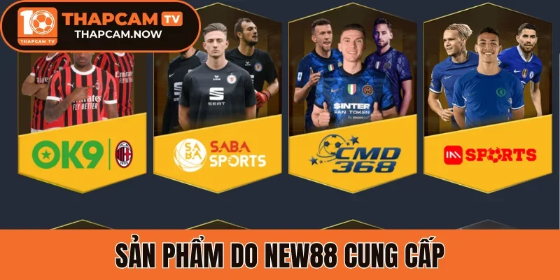 Sản phẩm do New88 cung cấp
