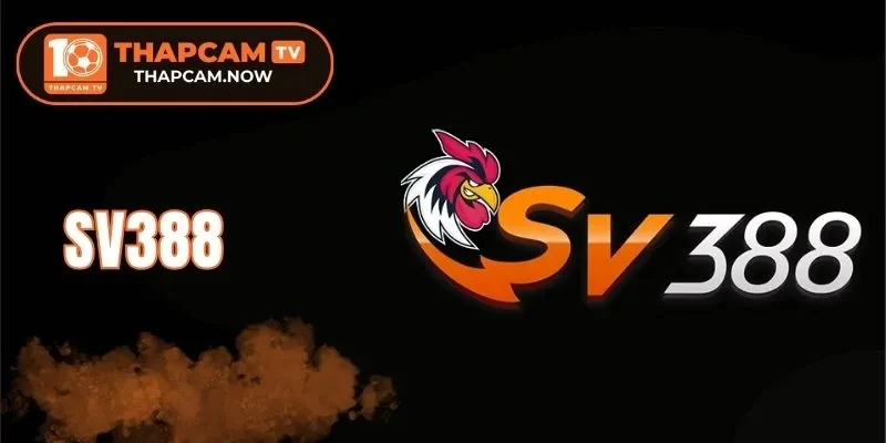 Kèo châu Âu hút khách với cách chơi đơn giản