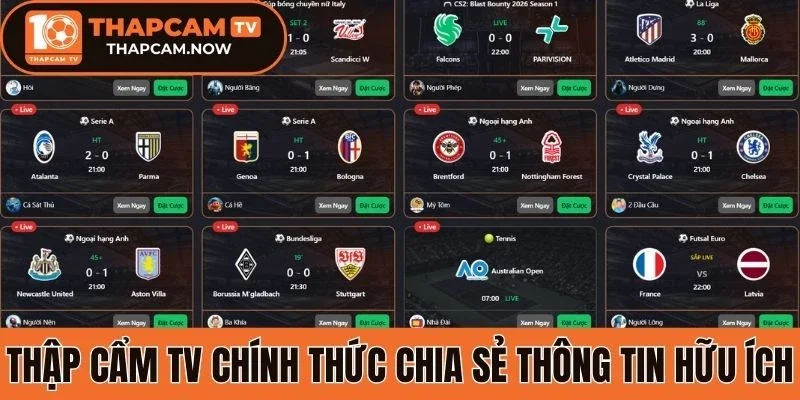 Thập cẩm tv chính thức chia sẻ thông tin hữu ích
