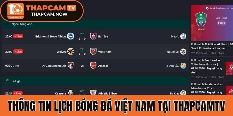 Thông tin lịch bóng đá Việt Nam tại Thapcamtv