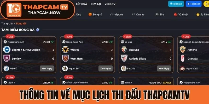 Thông tin về mục lịch thi đấu Thapcamtv