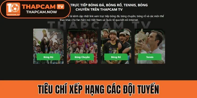 Tiêu chí xếp hạng các đội tuyển