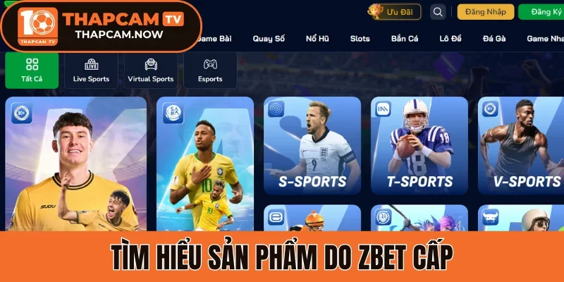 Tìm hiểu sản phẩm do Zbet cấp