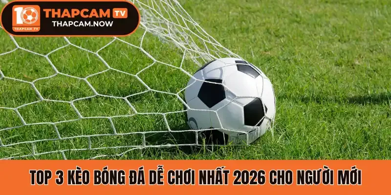 Top 3 kèo bóng đá dễ chơi nhất 2026 cho người mới