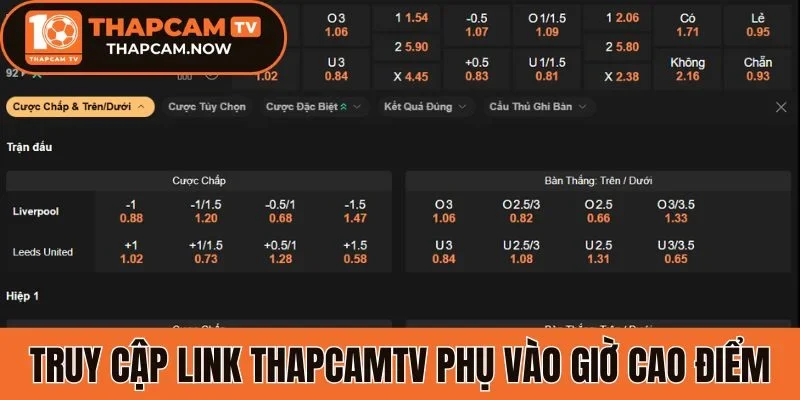 Truy cập link Thapcamtv phụ vào giờ cao điểm