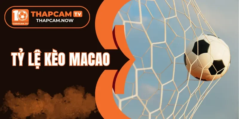 Tips soi kèo chuẩn từ người chơi bóng đá chuyên nghiệp