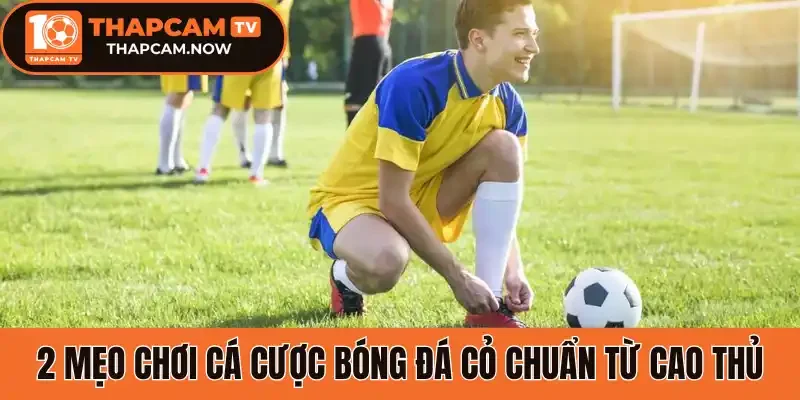 2 Mẹo chơi cá cược bóng đá cỏ chuẩn từ cao thủ