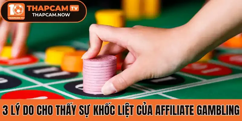 3 lý do cho thấy sự khốc liệt của Affiliate Gambling