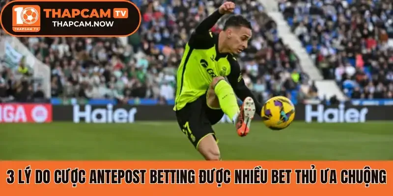 3 Lý do cược Antepost betting được nhiều bet thủ ưa chuộng