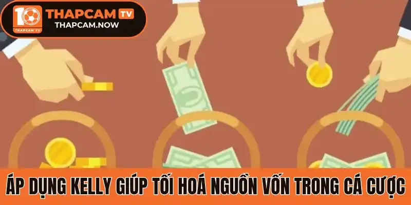 3 quy trình áp dụng công thức Kelly đơn giản