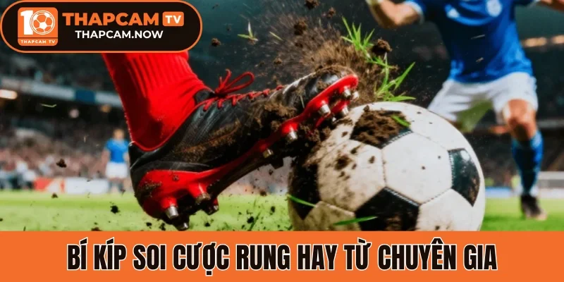 Bí kíp soi cược rung hay từ chuyên gia