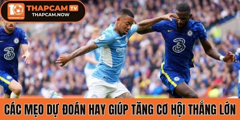 Các mẹo dự đoán hay giúp tăng cơ hội thắng lớn