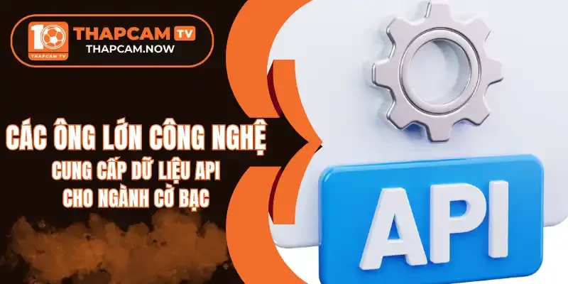 3 cách lựa chọn nguồn dữ liệu API tối ưu