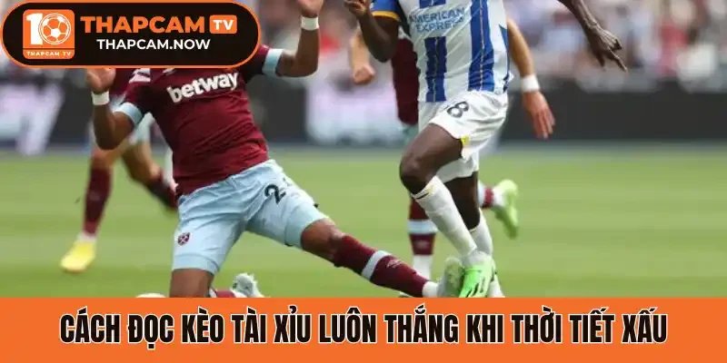 Cách đọc kèo tài xỉu luôn thắng khi thời tiết xấu