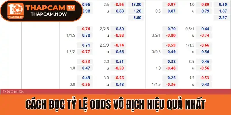 Cách đọc tỷ lệ odds vô địch hiệu quả nhất