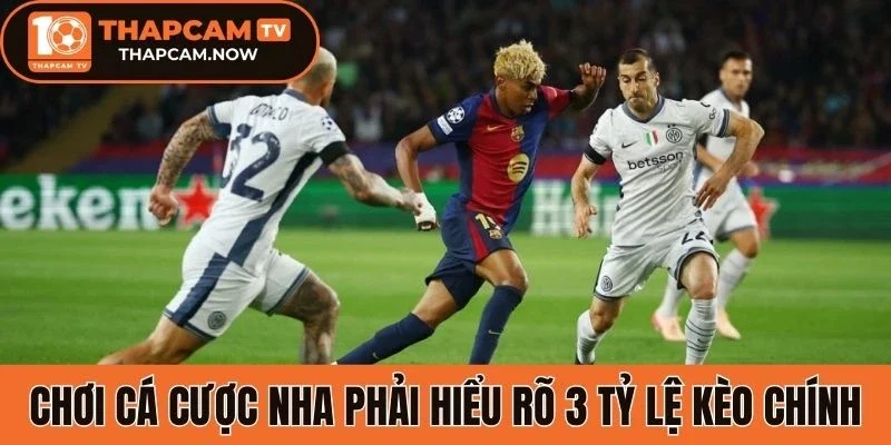 Chơi cá cược NHA phải hiểu rõ 3 tỷ lệ kèo chính