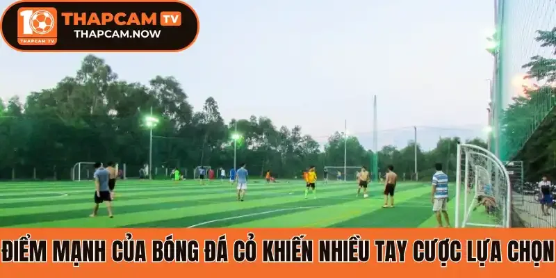 Điểm mạnh của bóng đá cỏ khiến nhiều tay cược lựa chọn