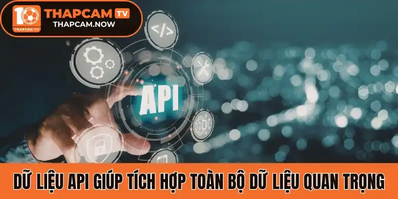 Dữ liệu API giúp tích hợp toàn bộ dữ liệu quan trọng