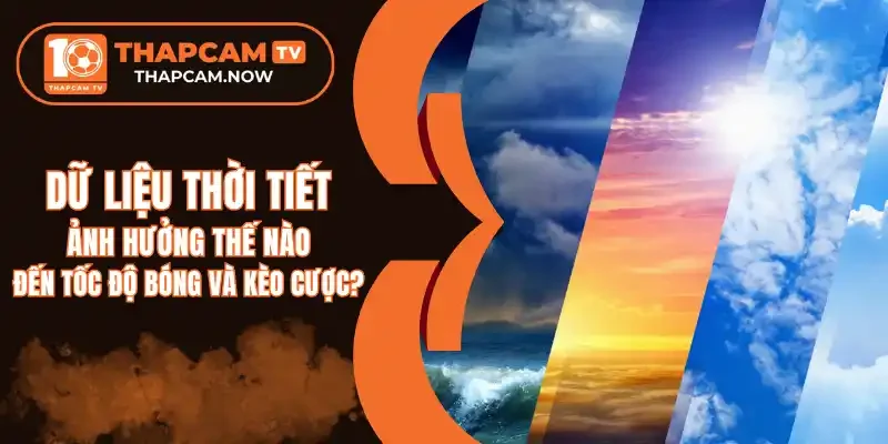 Chuyển đến nội dung chínhChuyển đến thanh công cụ thapcam.now Flatsome 00 bình luận cần kiểm duyệt Tạo mới Rank Math SEO Xin chào, Gà Siêu Phệ Tùy chọn màn hìnhHỗ trợ Thêm Bài Viết Thông báo SEO: post đã xuất bản trước đó đã được chuyển vào thùng rác. Bạn có thể chuyển hướng https://thapcam.now/soi-keo-brighton-vs-brentford/ đến một URL mới. Bỏ qua thông báo này EditorUX Builder Thêm tiêu đề Dữ Liệu Thời Tiết Ảnh Hưởng Thế Nào Đến Tốc Độ Bóng Và Kèo Cược? Bỏ qua để biên tập Đường dẫn tĩnh: https://thapcam.now/du-lieu-thoi-tiet-anh-huong-the-nao-den-toc-do-bong-va-keo-cuoc/ ‎Chỉnh sửa Thêm MediaTrực quanMã Định dạng ĐoạnTOCShortcodes 11pt p » i » span Số từ: 998 Bản nháp được lưu lúc 13:01:32. Di chuyển lênDi chuyển xuốngChuyển đổi bảng điều khiển: Xuất bản Xem trước(mở trong cửa sổ mới) Trạng thái: Bản nháp Chỉnh sửaChỉnh sửa trạng thái Hiển thị: Công khai Chỉnh sửaChỉnh sửa độ rõ nét Xuất bản ngay lập tức Chỉnh sửaChỉnh sửa ngày tháng và thời gian Lock Modified Date SEO: 80 / 100 Bỏ vào thùng rác Di chuyển lênDi chuyển xuốngChuyển đổi bảng điều khiển: Ảnh đại diện Đặt ảnh đại diện Di chuyển lênDi chuyển xuốngChuyển đổi bảng điều khiển: Danh mục Tất cả danh mục Dùng nhiều nhất Hướng Dẫn Soi Kèo Soi Kèo Nhà Cái Tin TứcMake Term Primary Top Nhà Cái + Thêm Danh Mục Di chuyển lênDi chuyển xuốngChuyển đổi bảng điều khiển: Content AI Di chuyển lênDi chuyển xuốngChuyển đổi bảng điều khiển: Định dạng Di chuyển lênDi chuyển xuốngChuyển đổi bảng điều khiển: Thẻ Di chuyển lênDi chuyển xuốngChuyển đổi bảng điều khiển: Đề xuất Liên kết Di chuyển lênDi chuyển xuốngChuyển đổi bảng điều khiển: LiteSpeed Di chuyển lênDi chuyển xuốngChuyển đổi bảng điều khiển: Rank Math SEO Tổng quan Nâng cao Schema Mạng xã hội https://thapcam.now/du-lieu-thoi-tiet-anh-huong-the-nao-den-toc-do-bong-... Dữ Liệu Thời Tiết Ảnh Hưởng Thế Nào Đến Tốc Độ Bóng Và... Dữ liệu thời tiết như độ ẩm, lượng mưa hay sức gió có thể làm ảnh hưởng đến lối chơi của các cầu thủ, từ đó dẫn đến biến động trong tỷ lệ cược. Chỉnh sửa đoạn trích Từ khóa chínhChèn các từ khóa bạn muốn xếp hạng. Cố gắng đạt 100/100 điểm để có cơ hội xếp hạng tốt hơn. 80 / 100 Lưu ý cảnh báo Đọc ở đây để Đạt điểm 100/100 Bài viết này là nội dung cốt lõi SEO cơ bản Tất cả đều tốt Tuyệt vời! Bạn đang sử dụng từ khoá chính trong Tiêu đề SEO. Đã sử dụng từ khoá chính trong Mô tả Meta SEO. Từ khóa chính đã được sử dụng trong URL. Từ khoá chính xuất hiện trong 10% nội dung đầu tiên. Đã tìm thấy từ khoá chính trong nội dung. Nội dung dài 999 từ. Làm tốt lắm! Bổ sung 3 Lỗi Khả năng đọc tiêu đề 1 Lỗi Khả năng đọc nội dung Tất cả đều tốt Di chuyển lênDi chuyển xuốngChuyển đổi bảng điều khiển: Disable WpDevArt Facebook comment on this page/post Di chuyển lênDi chuyển xuốngChuyển đổi bảng điều khiển: Table of Contents Cảm ơn bạn đã sử dụng Rank MathPhiên bản 6.8.2 Thông báoLink inserted. Đóng hộp thoại Thêm tệp media Hành động Tải lên tệp mớiChọn từ thư viện Media Mở rộng chi tiết Lọc mediaLọc theo loại Tất cả Lọc theo ngày Tất cả các ngày Tìm tệp media Danh sách media Đang hiển thị 84 của 926 file media Tải thêm Chi tiết tệp đính kèm phan-tich-va-theo-doi-du-lieu-thoi-tiet-truoc-khi-cuoc.webp 27 Tháng 3, 2026 43 KB 800 dài và rộng 400 pixel Sửa ảnh Xóa vĩnh viễn Văn bản thay thế Tạo văn bản thay thế Xem cách mô tả nội dung ảnh(mở trong cửa sổ mới). Để trống nếu ảnh chỉ dùng làm hiệu ứng trang trí.Tiêu đề phan-tich-va-theo-doi-du-lieu-thoi-tiet-truoc-khi-cuoc Chú thích Mô tả Liên kết của tệp tin: https://thapcam.now/wp-content/uploads/2026/03/phan-tich-va-theo-doi-du-lieu-thoi-tiet-truoc-khi-cuoc.webp Sao chép liên kết Các trường bắt buộc được đánh dấu * Loại trừ tệp đính kèm này khỏi sơ đồ trang web Tùy chọn hiển thị nội dung đính kèm Căn chỉnh Chính giữa Liên kết tới Không có Kích thước Kích thước đầy đủ – 800 × 400 Hành động cho các media đã được chọn đã chọn 1 item Xóa Chèn vào bài viết Không có tệp nào được chọn