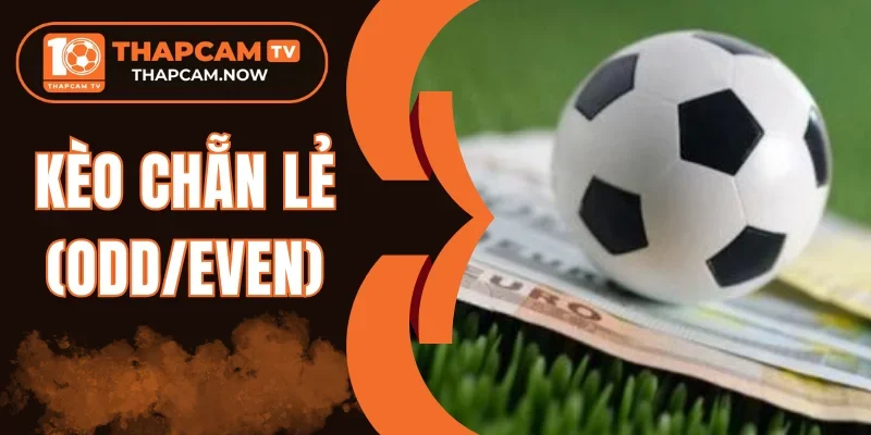 Cách tính tiền kèo chẵn lẻ (Odd/Even)