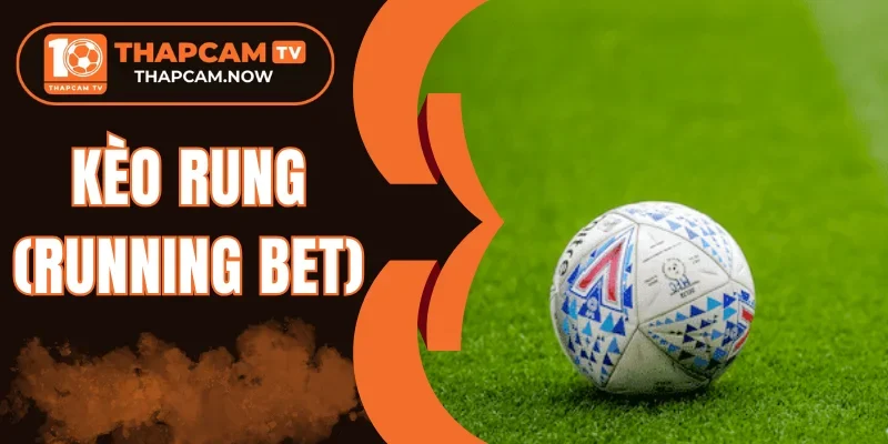 Bí kíp soi cược rung hay từ chuyên gia