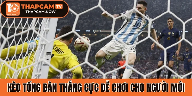 Kèo tổng bàn thắng cực dễ chơi cho người mới