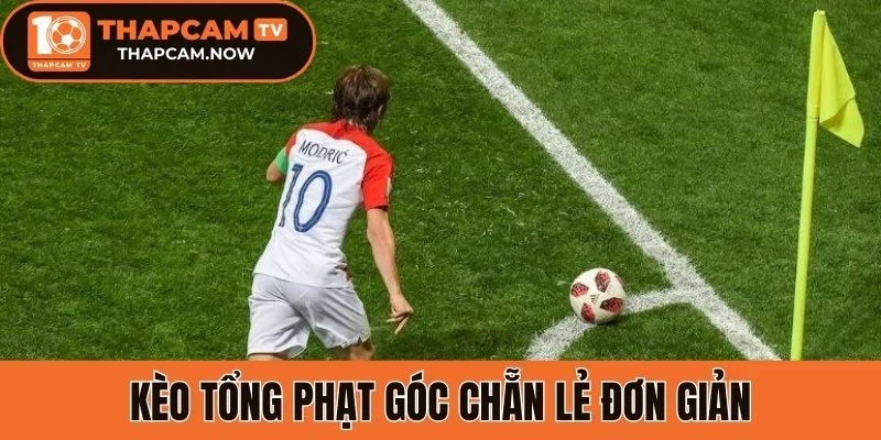 Kèo tổng phạt góc chẵn lẻ đơn giản