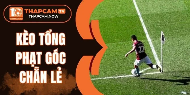 Luật tham gia kèo phạt góc chẵn lẻ 