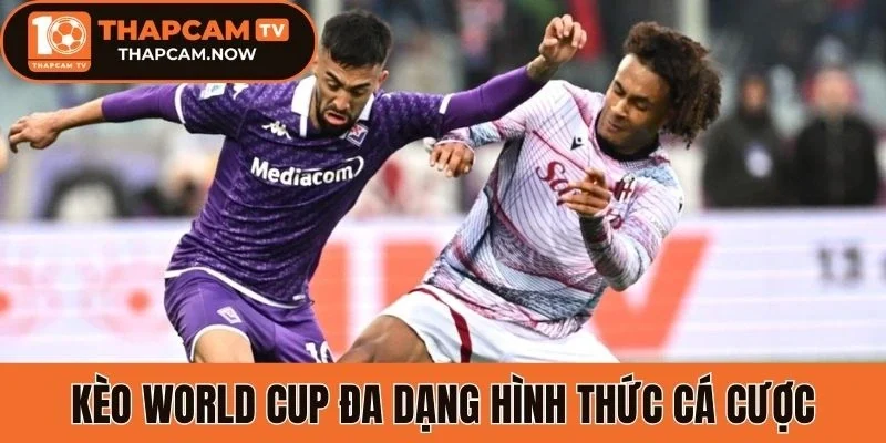 Kèo World Cup đa dạng hình thức cá cược
